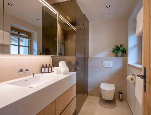 Brunnenhof Penthouse (23)