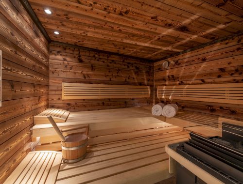 Chalet Bluebird (13)