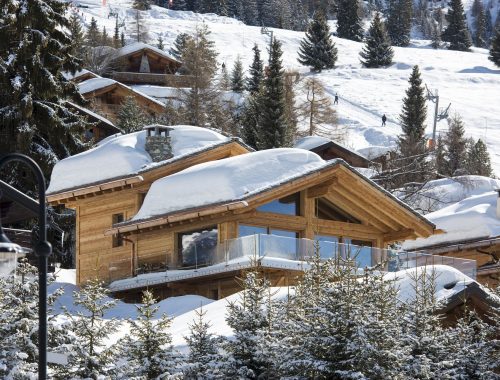 Chalet Mowgli (21)