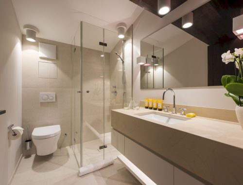 Chalet Nidus (23)
