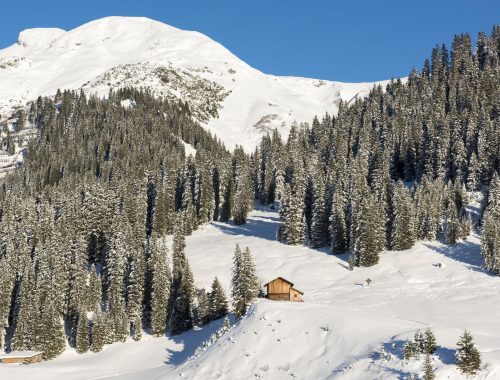 Chalet Nidus (30)