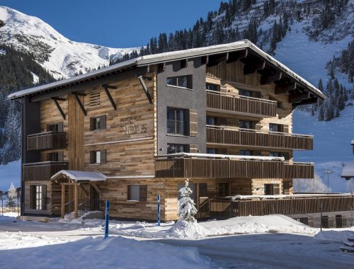 Chalet Nidus (4)