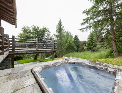 Chalet Riant (18)