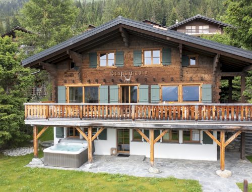 Chalet Scandinavia (1)