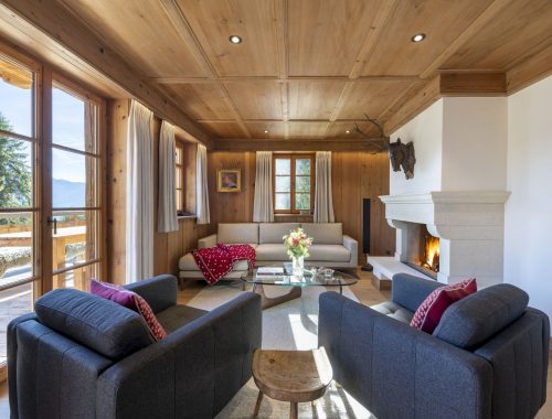 Chalet Tire Bouchon (20)