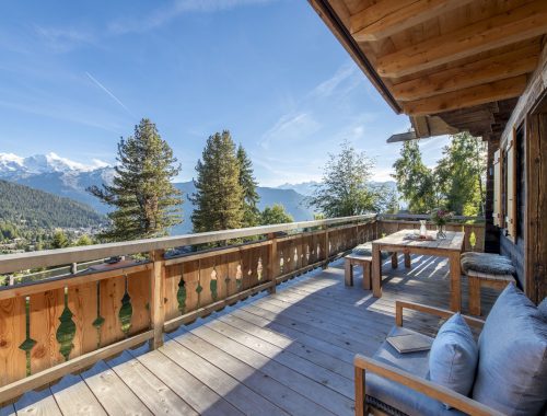 Chalet Tire Bouchon (22)