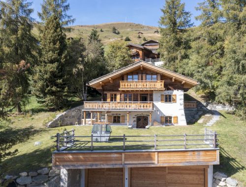 Chalet Tire Bouchon (5)